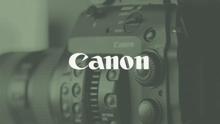 LUT预设-用于佳能C-Log/C-Log3调色预设 Gamut – Canon Conversion LUTs for C-Log C-Log 3-后期素材库