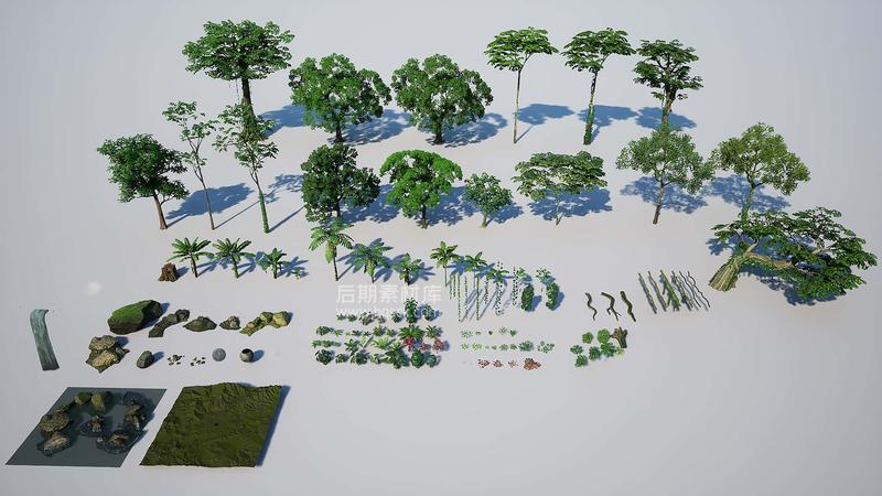 图片[4]-UE环境 – 热带雨林环境包 Unreal Engine – Rain Forest Pack-后期素材库
