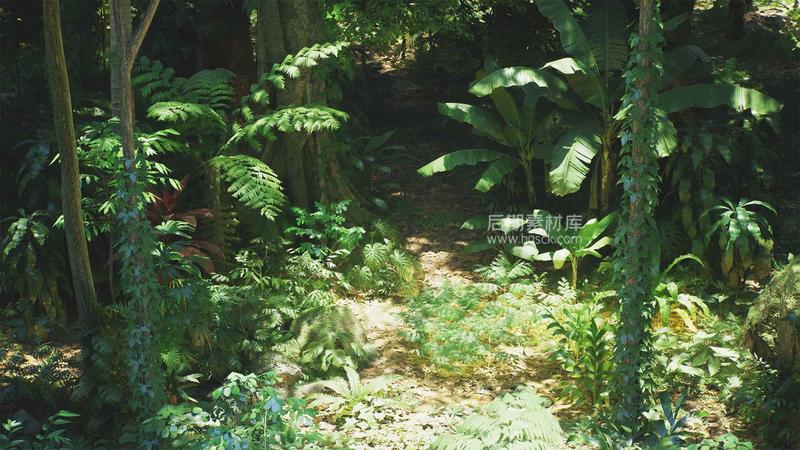 UE环境 – 热带雨林环境包 Unreal Engine – Rain Forest Pack-后期素材库